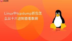 linux中tcpdump抓包怎么以十六进制查看数据