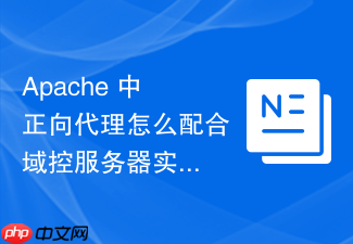 apache 中正向代理怎么配合域控服务器实现统一的上网权限管控