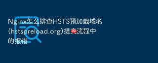 Nginx怎么排查HSTS预加载域名(hstspreload.org)提交流程中的报错
