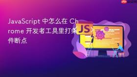 javascript 中怎么在 chrome 开发者工具里打条件断点