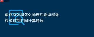 缓存有效期怎么排查后端返回微秒级过期时间计算错误
