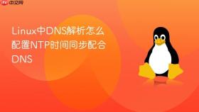 linux中dns解析怎么配置ntp时间同步配合dns