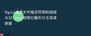 Nginx排查文件描述符限制报错与SELinux权限拦截的日志混淆排查