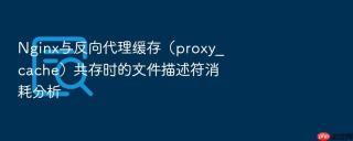Nginx与反向代理缓存（proxy_cache）共存时的文件描述符消耗分析