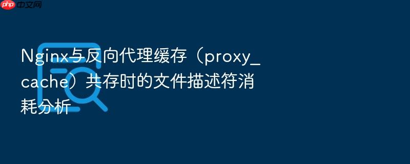 nginx与反向代理缓存（proxy_cache）共存时的文件描述符消耗分析