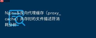 nginx与反向代理缓存(proxy_cache)共存时的文件描述符消耗分析