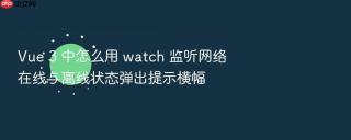 vue 3 中怎么用 watch 监听网络在线与离线状态弹出提示横幅