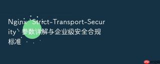 nginx `strict-transport-security` 参数详解与企业级安全合规标准