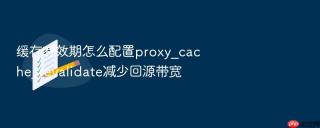 缓存有效期怎么配置proxy_cache_revalidate减少回源带宽