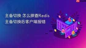 主备切换 怎么排查redis主备切换后客户端报错