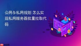 公网与私网规划 怎么实现私网服务器批量拉取代码