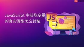 JavaScript 中获取变量的真实类型怎么封装