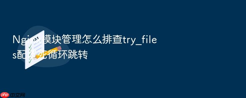 nginx模块管理怎么排查try_files配置死循环跳转