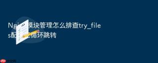 nginx模块管理怎么排查try_files配置死循环跳转