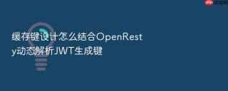 缓存键设计怎么结合openresty动态解析jwt生成键