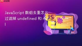 javascript 数组去重怎么过滤掉 undefined 和 null