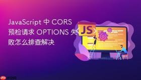 javascript 中 cors 预检请求 options 失败怎么排查解决