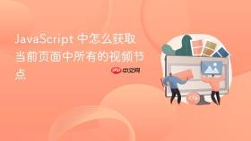 javascript 中怎么获取当前页面中所有的视频节点