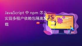 javascript 中 npm 怎么实现多租户依赖包隔离加载