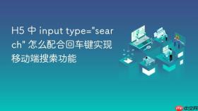 h5 中 input type=\