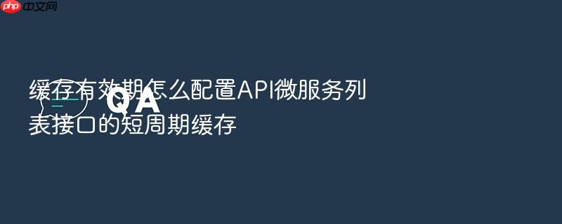 缓存有效期怎么配置api微服务列表接口的短周期缓存