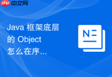Java 框架底层的 Object 怎么在序列化和反序列化中恢复对象状态