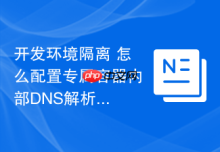 开发环境隔离 怎么配置专属容器内部DNS解析