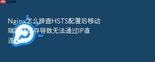 nginx怎么排查hsts配置后移动端离线缓存导致无法通过ip直连调试