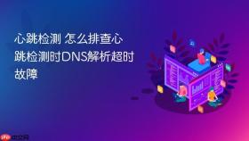 心跳检测 怎么排查心跳检测时dns解析超时故障