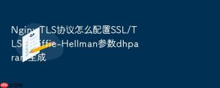 nginx tls协议怎么配置ssl/tls的diffie-hellman参数dhparam生成