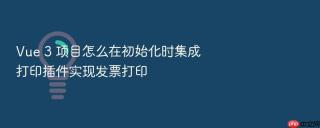 Vue 3 项目怎么在初始化时集成打印插件实现发票打印