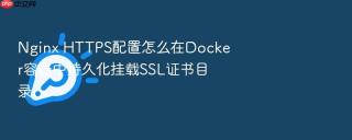 Nginx HTTPS配置怎么在Docker容器中持久化挂载SSL证书目录