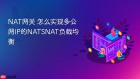 nat网关 怎么实现多公网ip的natsnat负载均衡