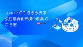 java 中 gc 日志分析怎么在容器化环境中收集 gc 日志