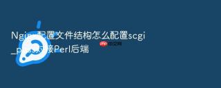 nginx配置文件结构怎么配置scgi_pass对接perl后端