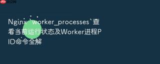 Nginx `worker_processes`查看当前运行状态及Worker进程PID命令全解
