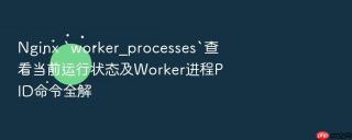nginx `worker_processes`查看当前运行状态及worker进程pid命令全解