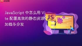 JavaScript 中怎么用 Vite 配置高效的静态资源加载与分发