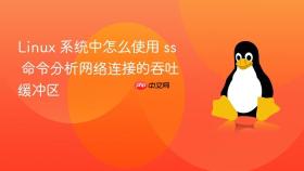 Linux 系统中怎么使用 ss 命令分析网络连接的吞吐缓冲区