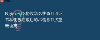 Nginx TLS协议怎么排查TLS证书私钥被窃取后的吊销与TLS重新协商
