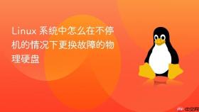 linux 系统中怎么在不停机的情况下更换故障的物理硬盘