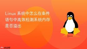 Linux 系统中怎么在条件语句中高效检测系统内存是否溢出