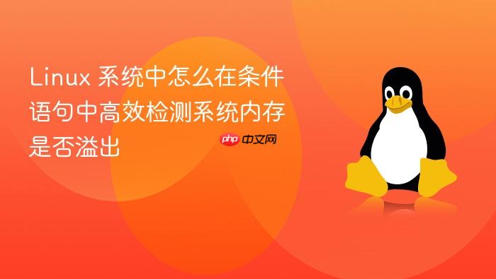 linux 系统中怎么在条件语句中高效检测系统内存是否溢出