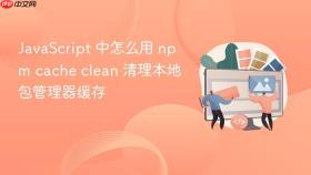 javascript 中怎么用 npm cache clean 清理本地包管理器缓存