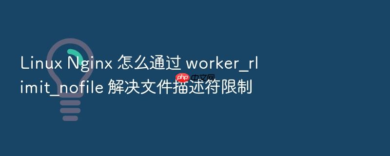 linux nginx 怎么通过 worker_rlimit_nofile 解决文件描述符限制
