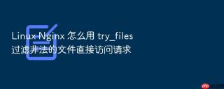 Linux Nginx 怎么用 try_files 过滤非法的文件直接访问请求