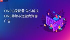 dns记录配置 怎么解决dns劫持与运营商弹窗广告