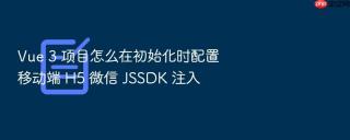vue 3 项目怎么在初始化时配置移动端 h5 微信 jssdk 注入