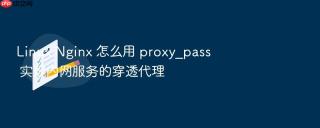 linux nginx 怎么用 proxy_pass 实现内网服务的穿透代理