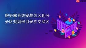服务器系统安装怎么划分分区规划根目录与交换区
